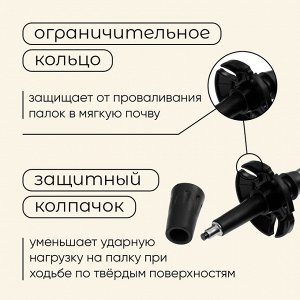 Палка трекинговая maclay Alu 100, телескопическая, 1 шт.