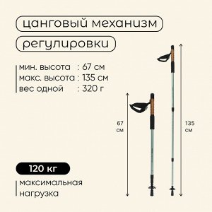 Палки треккинговые maclay Alu 100, телескопические, 2 шт.
