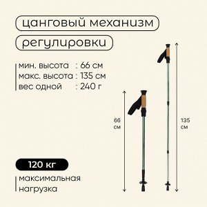 Палки трекинговые maclay Alu 100, телескопические, 2 шт.