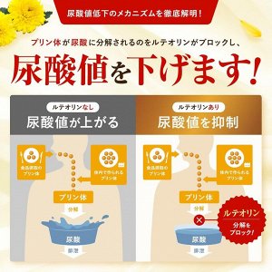 Shin Nihon Health Luteolin and GABA - комплекс для снижения уровня мочевой кислоты и артериального давления