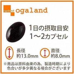 OGALAND Black Garlic and Yolk - экстракт чеснока и желток для улучшения кровобращения и снижения давления