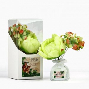 Диффузор ароматический палочки, ароматизатор для дома «Аромадиффузор: Твои мечты сбудутся», аромат лаванда, 50 мл.