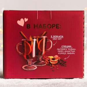Набор для приготовления глинтвейна «Твоя улыбка»: специи 30 г, бокалы 250 мл, 2 шт.