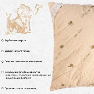 Подушка "Этель", подстёжка — верблюжья шерсть, 70х70 см, тик