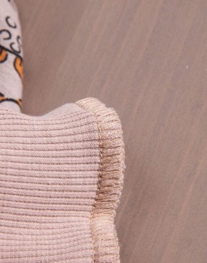 Комбинезон детский теплый для мальчика из футера с капюшоном БЕЗ начеса цвет Динозавры