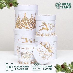 Набор подарочных шляпных коробок 5 в 1 «С Новым годом», 23x23- 15x15 см