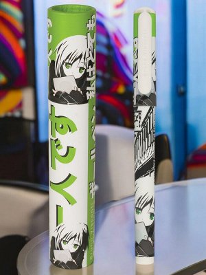 Ручка шариковая в футляре СИНЯЯ, BRUNO VISCONTI DreamWrite, Manga Anime, ассорти, 0,5мм, 20-0264/17 (зеленый)