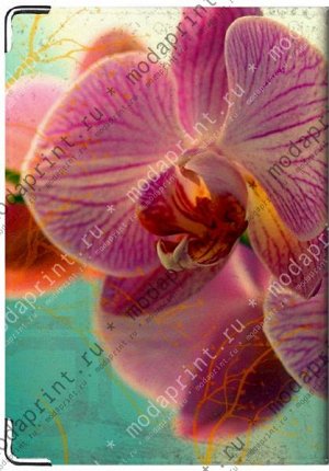 орхидея Материал: Натуральная кожа Размеры: 194x138 мм Вес: 65 (гр.) Примечание: Блокнот на 40 листов в клеточку в кожаной обложке.