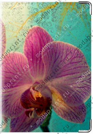 орхидея Материал: Натуральная кожа Размеры: 194x138 мм Вес: 65 (гр.) Примечание: Блокнот на 40 листов в клеточку в кожаной обложке.