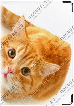 рыжий кот Материал: Натуральная кожа Размеры: 194x138 мм Вес: 65 (гр.) Примечание: Блокнот на 40 листов в клеточку в кожаной обложке.