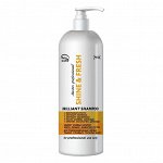 Frezy Grand Шампунь для волос с яблочным уксусом: блеск, объем, энергия / Shine &amp; Fresh Brilliant Shampoo, 1000 мл