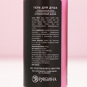Подарочный набор новогодний «Сладкого праздника», гель для душа, пена для ванны, 2x100 мл, Чистое счастье