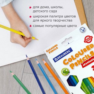 Карандаши цветные BRAUBERG PREMIUM, 12 цветов, пластиковые,шестигранные, грифель мягкий 3 мм, 181666