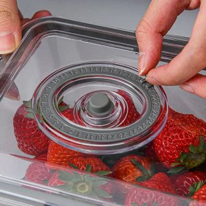 Контейнер пластиковый с герметичной крышкой и вакууматором Большой