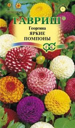 Георгина Яркие помпоны 0,2 г