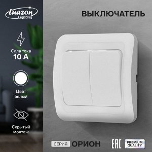 Выключатель Luazon Lighting «Орион», 10 А, 2 клавиши, скрытый монтаж, белый