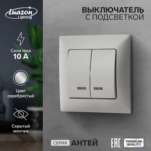 Выключатель Luazon Lighting «Антей», 10 А, 2 клавиши, скрытый монтаж, с подсветкой, серебристый