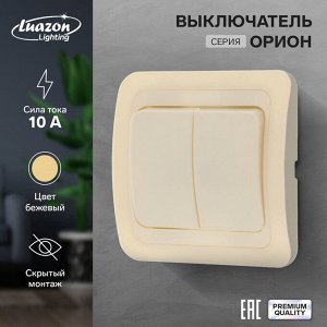 Выключатель Luazon Lighting «Орион», 10 А, 2 клавиши, скрытый монтаж, бежевый