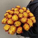 Сансет Экспрешн