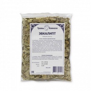 Эвкалипт (эвкалипта круглого листья)