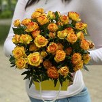 Айлайнер