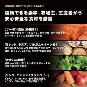 GO! SOLUTIONS Digestion + Gut Health Care - сухой корм для кошек с лососем для здорового пищеварения 500г
