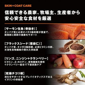 GO! SOLUTIONS Skin + Coat Care - сухой корм для кошек с лососем для здоровой кожи и гладкой шерсти 500г
