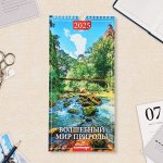 Календарь на ригеле «Волшебный мир природы» 2025 год, 16.5x34 см
