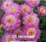 20 Метеорит