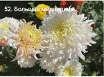 52 Большая Медведица