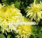 38 Липнева