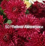 50 Тайна Амазонки