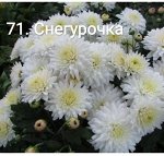 71 Снегурочка
