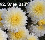 92 Элен Вайт