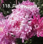 118 Парижанка