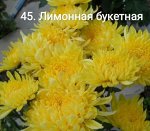 45 Лимонная-букетная