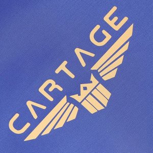 Термосумка Cartage Т-08, синяя, 10 л, 26x19x19 см