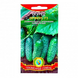 Семена Огурец "Орфеус", F1, 10 шт