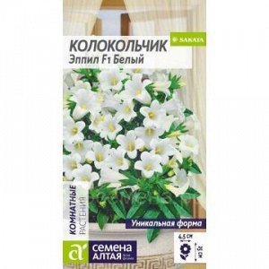 Колокольчик Эппил Белый средний (Алтай)