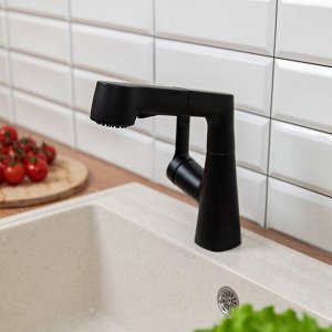 СоюзКран Смеситель для кухни, поворотный излив 360гр., картридж 35мм, цинк, черный SS01-R133