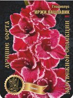 Гладиолус Иржи Вацлавик 445,Васильев 2 р-р 7шт (Ф)