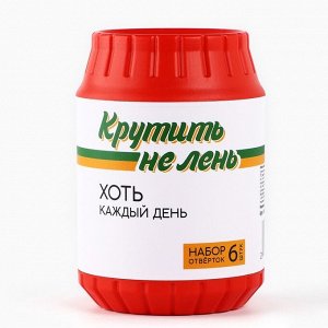 Подарочный набор инструментов в банке «Крутить не лень», 6 предметов