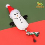 ❄ ︎Игрушки для животных