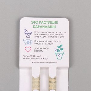 Набор для выращивания, карандаши подарочные «Мята + Паприка», mini, простые чернографитные, 2 шт.