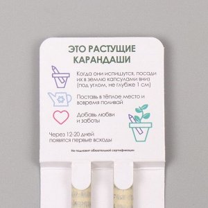 Набор для выращивания, карандаши подарочные «Маргаритка + гвоздика», mini, простые чернографитные, 2 шт.