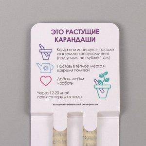 Арт Узор Набор для выращивания, карандаши подарочные «Мята + Лаванда», mini, простые чернографитные, 2 шт.