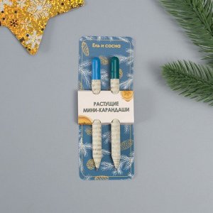 Арт Узор Набор для выращивания, карандаши подарочные новогодние «Голубая Ель + Сосна», mini, простые чернографитные, 2 шт.