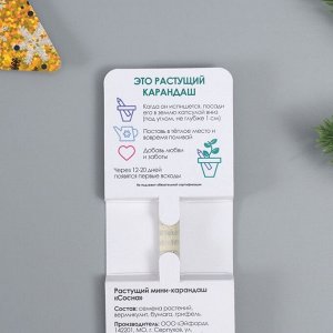 Растущий карандаш подарочный новогодний «Сосна», mini, простой чернографитный