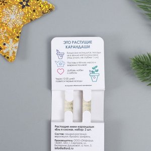 Арт Узор Набор для выращивания, карандаши подарочные новогодние «Голубая Ель + Сосна», mini, простые чернографитные, 2 шт.