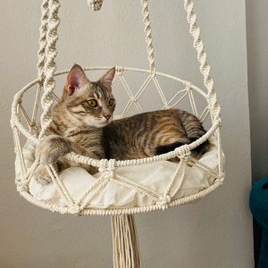 Гамак подвесной для кошек, плетеный